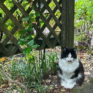 Meet your Posher, Emma